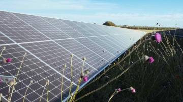 European Energy Latvia aicina uz sarunu par bioloģisko daudzveidību Latvijā