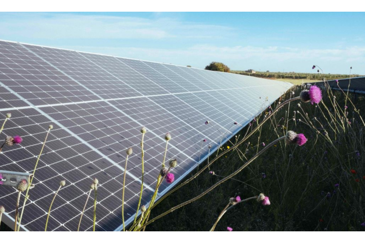 European Energy Latvia aicina uz sarunu par bioloģisko daudzveidību Latvijā