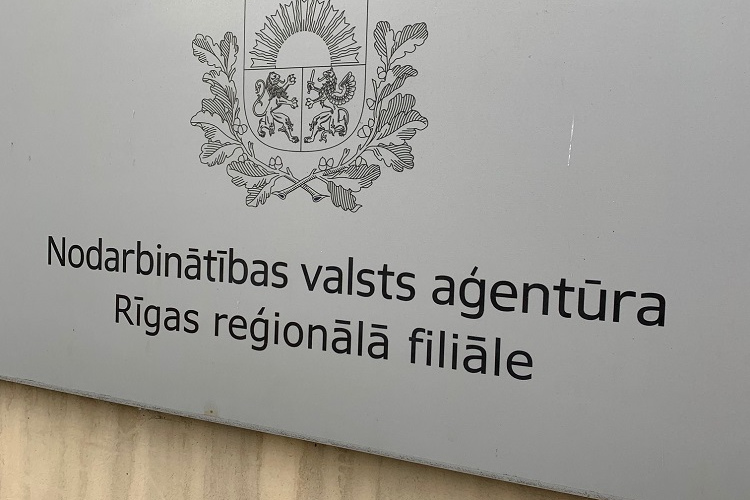 Darba devējiem, kuri nodarbina vai plāno nodarbināt cilvēkus ar invaliditāti,  NVA janvārī  rīko divas bezmaksas...
