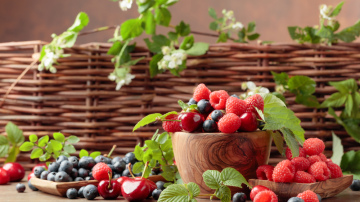 Ogas kā dabisks vitamīnu un uzturvielu avots