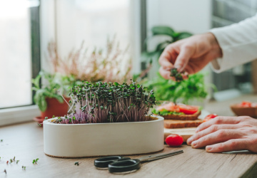 Kā pēc ziemas noguruma palīdz zaļumu spēks
