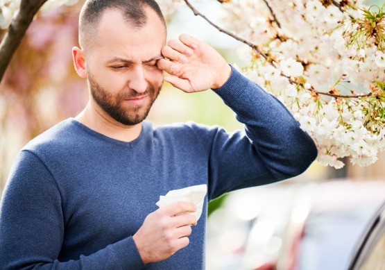 Par zāļu paaudzēm un citiem āķīgiem jautājumiem cīņai pret alerģiju