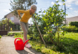 Dārzu sezona jau pilnā sparā: 8 padomi veselīgai rosībai