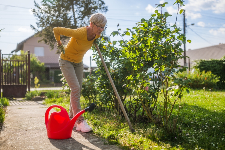 Dārzu sezona jau pilnā sparā: 8 padomi veselīgai rosībai